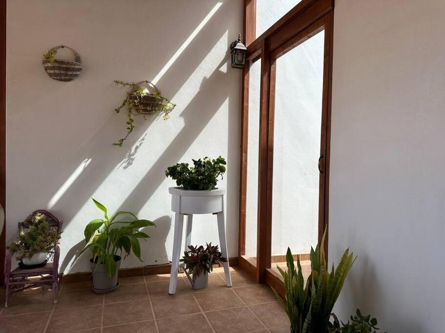 Pájara Private Villa With Pool In The Mountains מראה חיצוני תמונה